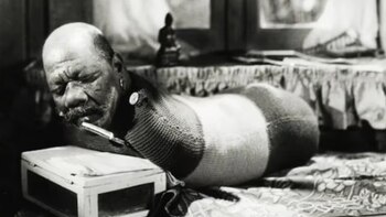 El increíble hombre oruga, la