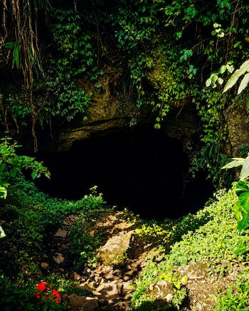 Entrada a una cueva oscura, con paredes rocosas cubiertas de vegetación verde y enredaderas. El suelo es rocoso y terroso, con partes iluminadas