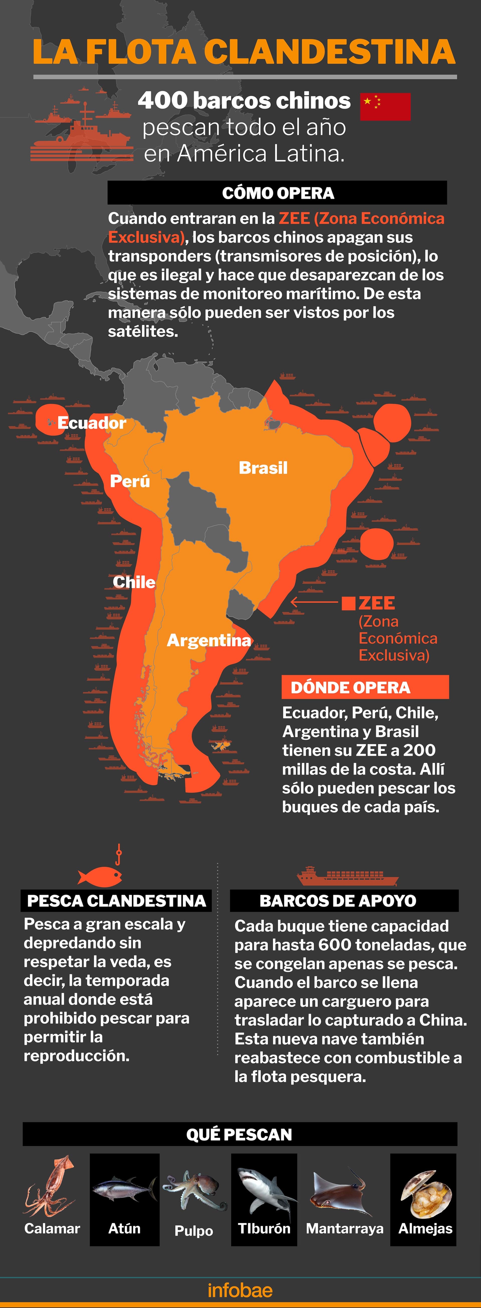 Así opera la flota de pesqueros clandestinos de China en América Latina depredando sus mares (Marcelo Regalado/Infobae)