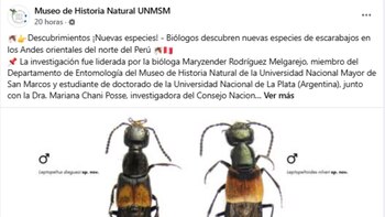 Reciente publicación en su fanpage oficial del Museo de Historia Natural de la Universidad Nacional Mayor de San Marcos.