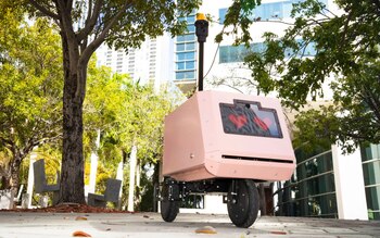 El programa piloto de Tiny