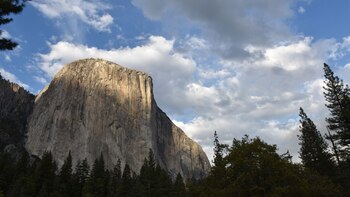 Da Califórnia à Suécia: novidades