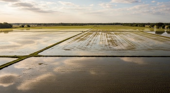 Autoridades como el USDA y