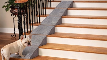 MASCOTAS FELICES DECO
