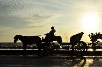 Carrozas en Cartagena | Crédito