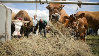 El Gobierno publica en el BOE la orden de módulos con reducciones en el IRPF para agricultores y ganaderos