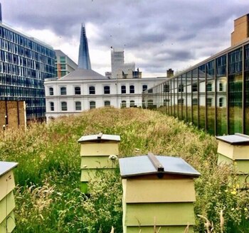 Las terrazas frente a The