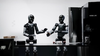 Robots ayudan con las tareas del hogar