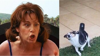 Memes del 10 de mayo