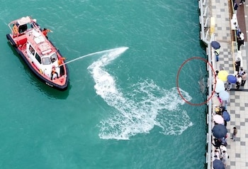 Vista aérea de un bote inflable rojo que lanza agua cerca de un animal en un círculo rojo y un muelle con personas