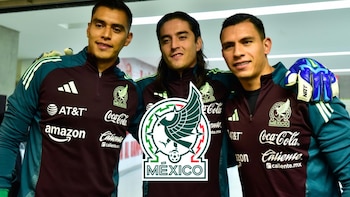 Malagón llega en silla de