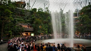 Travis Kelce visitó el invernadero