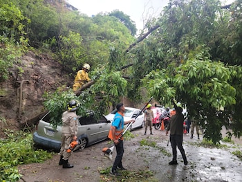Autoridades monitorean sectores de la zona central y occidental considerados de alto riesgo. En Tegucigalpa, un árbol cayó sobre una vivienda y causó daños materiales. (Foto: Bomberos)