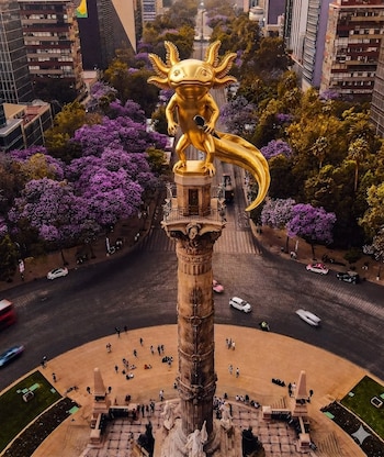 Vista aérea de una estatua dorada de un ajolote gigante sobre una columna en una rotonda de Ciudad de México, con jacarandas moradas, edificios y tráfico vehicular