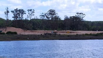 Los vecinos de Chihuahua, una