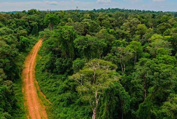 Siete grandes grupos extranjeros controlan cerca de 12 millones de hectáreas en Argentina, una porción relevante de la superficie rural (Redes sociales)