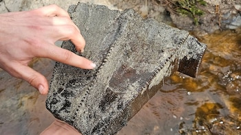 Un pescador y su hijo