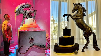 Fue campeón de boxeo, se