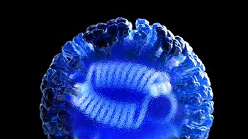 Drástica reducción de los casos