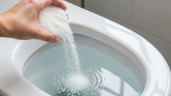 Por qué la sal gruesa