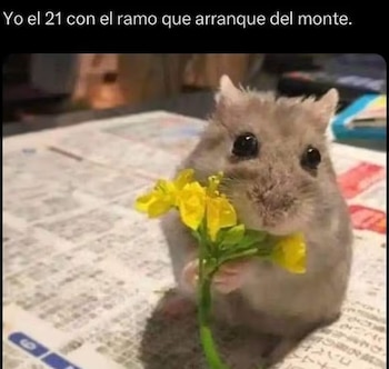 memes 21 de febrero