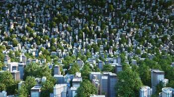 Los autores del trabajo advirtieron