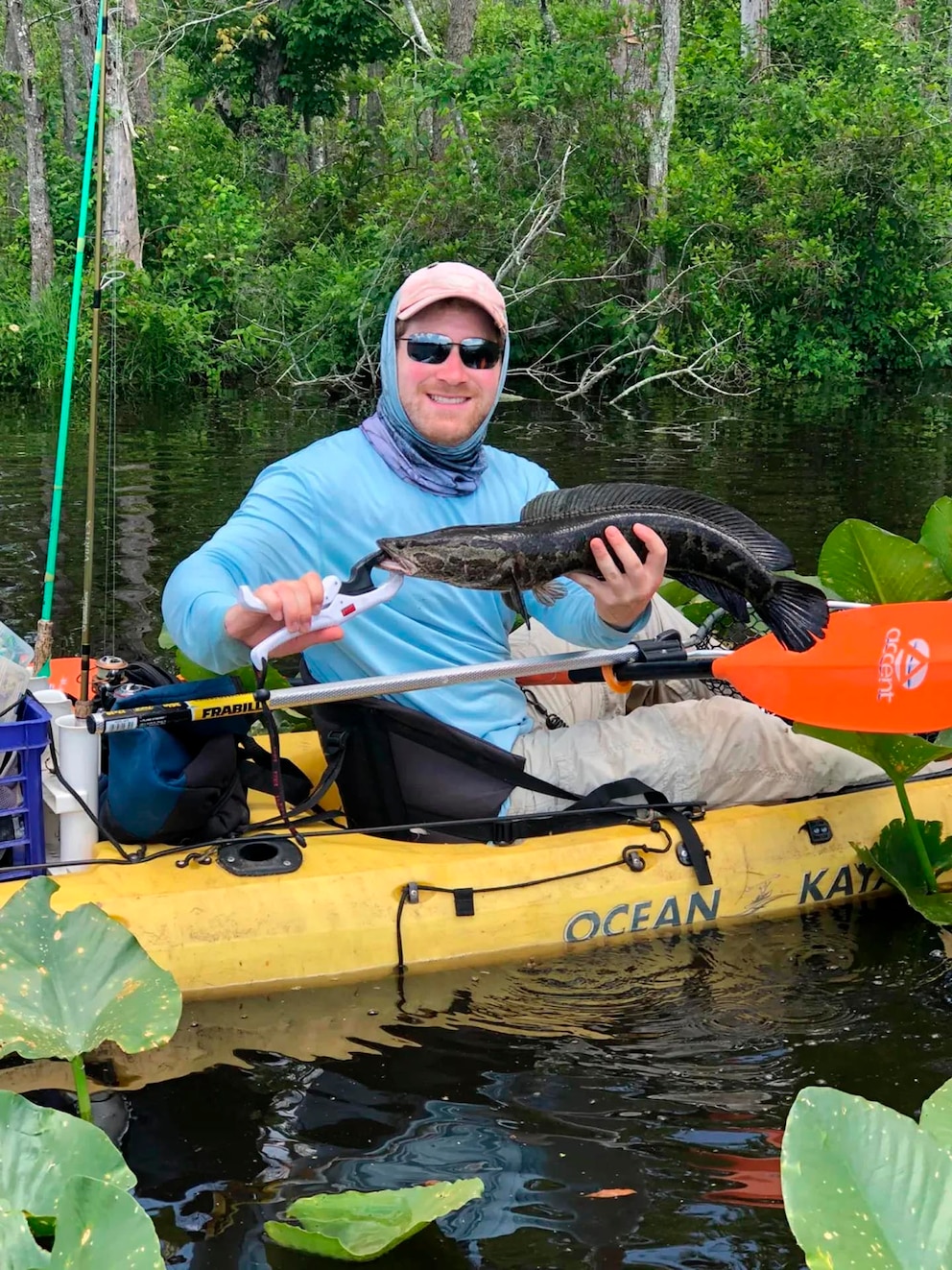 El pez cabeza de serpiente: la especie invasora que preocupa a Estados Unidos por su voracidad