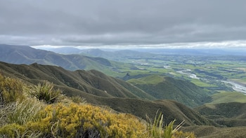 Monte Peel Nueva Zelanda