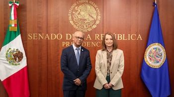 La senadora Laura Itzel Castillo Juárez destacó el compromiso del Senado de México con el fortalecimiento del diálogo multilateral en América junto a la OEA. (Archivo Infobae)
