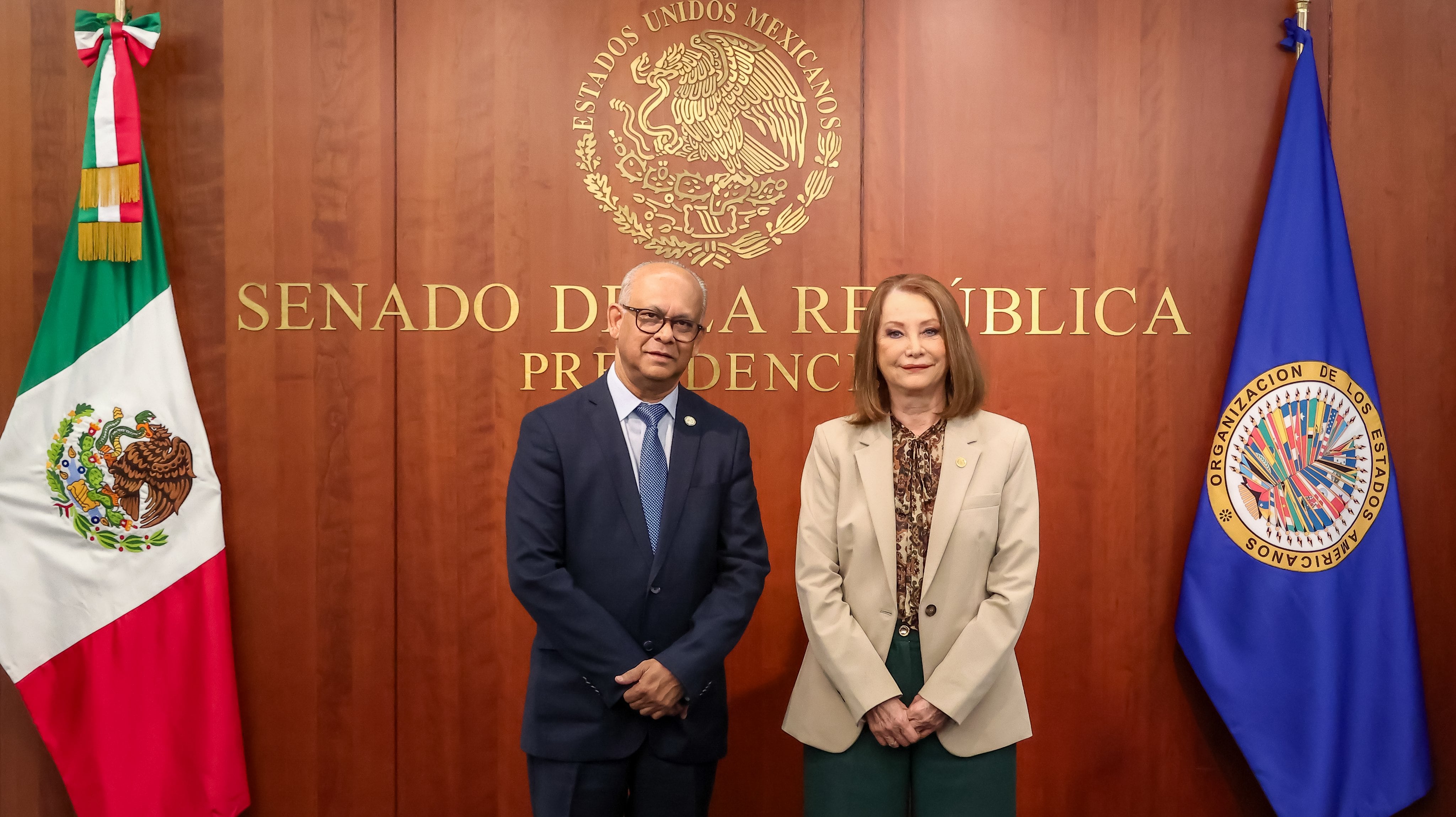 La senadora Laura Itzel Castillo Juárez destacó el compromiso del Senado de México con el fortalecimiento del diálogo multilateral en América junto a la OEA. (Archivo Infobae)