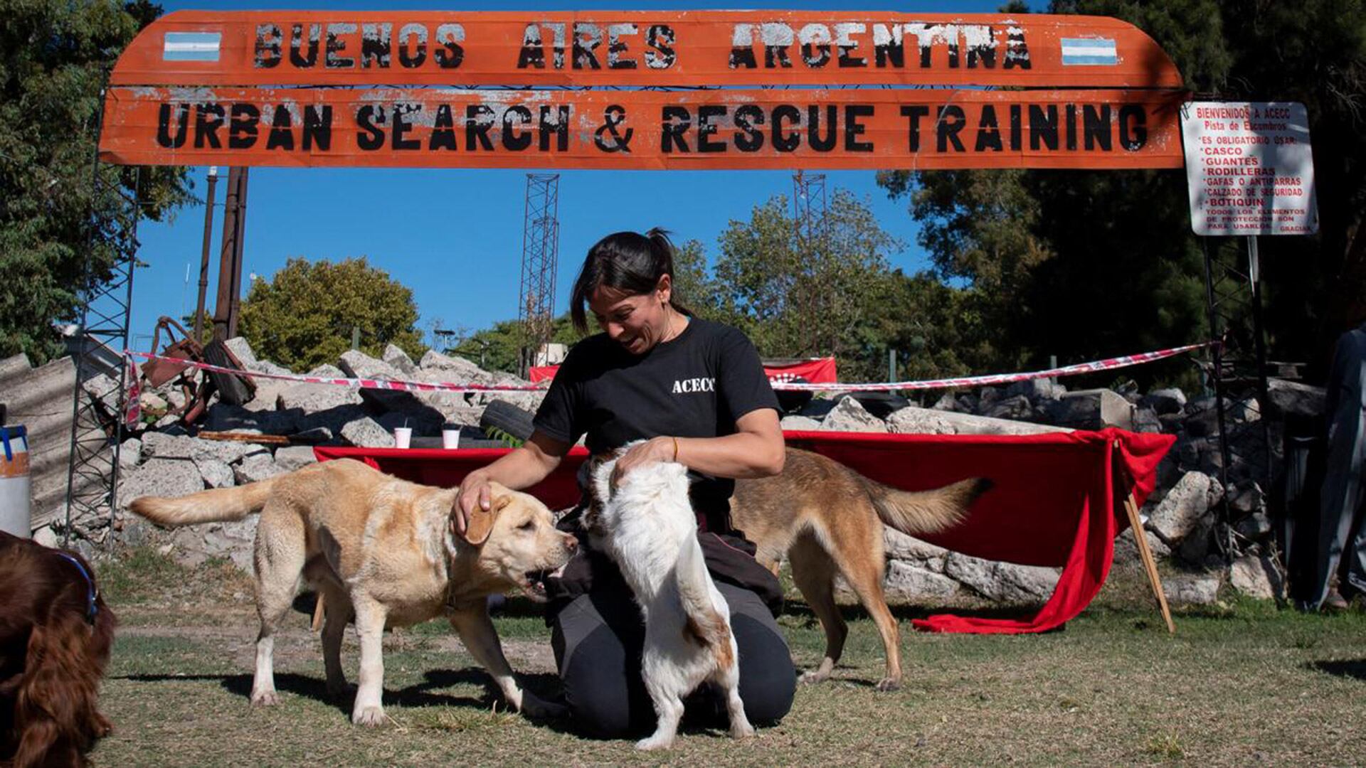 Más de 16.000 personas fueron beneficiadas por la Royal Canin Foundation en 19 países desde 2020
