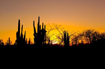 La región protegida abarca climas