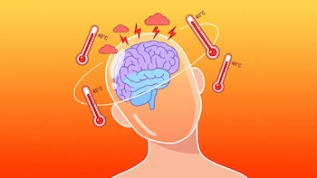 Olas de calor y salud cognitiva: cómo impactan en el cerebro las temperaturas extremas durante varios días