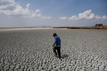 FOTO DE ARCHIVO: Alex Flores camina por una zona seca del lago Titicaca, la mayor cuenca de agua dulce de América Latina, mientras se acerca a niveles mínimos históricos, en la isla Cojata, Bolivia 26 de octubre de 2023. REUTERS/Claudia Morales/Archivo