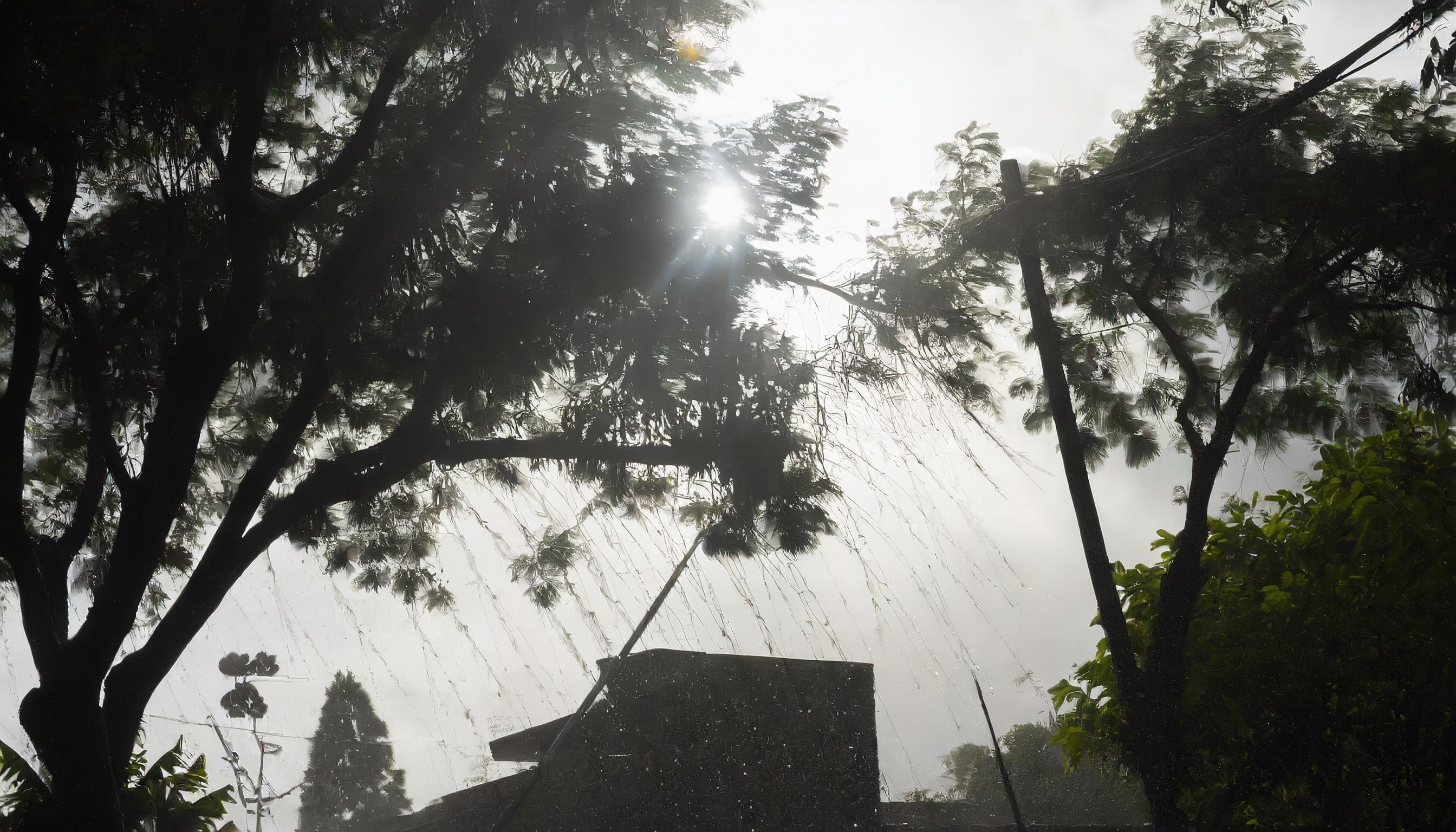 La predicción del clima en Alajuela (Imagen ilustrativa Infobae)