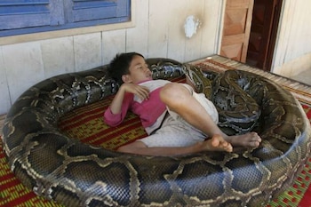 En 2015, un niño de