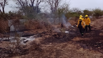 Gobierno de Guerrero llama a municipios a fortalecer la prevención de incendios forestales