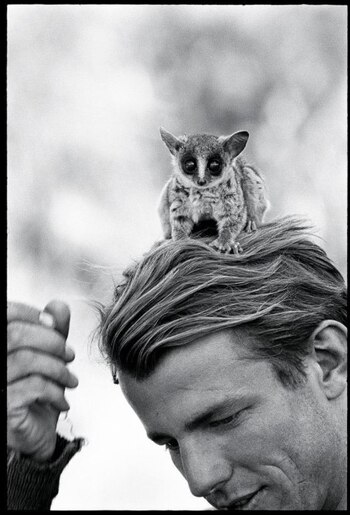 Peter Beard (Twitter@generadoraleka)