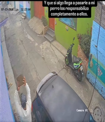 (Captura de pantalla)