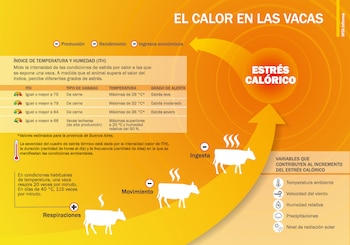 A medida que el calor