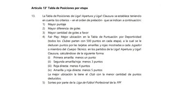 Artículo 13 del reglamento de