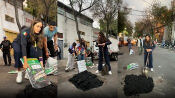 “Bachea Cuauhtémoc”: El programa sustentable