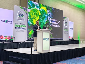 El viceministro de Agricultura y Ganadería de El Salvador, Óscar Alejandro Domínguez, presenta los avances del programa Aumento a la Producción durante el Congreso de Exportación de Alimentos organizado por COEXPORT. /Infobae Centroamérica.