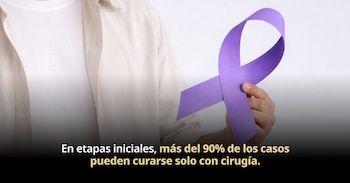 Primer plano de una persona vistiendo camisa clara, sosteniendo un lazo morado con la mano derecha. El fondo es blanco liso