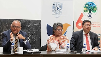 Alfredo Sánchez, Patricia Juan y Manuel Fuentes UNAM desempleo informalidad
