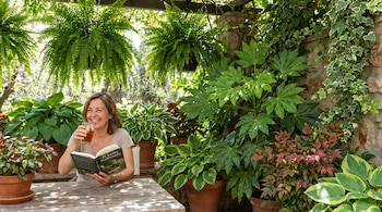 Mujer sentada en mesa de madera lee un libro y toma té helado. Macetas con plantas de hojas verdes, rojas y bicolores rodean el espacio. Hay hiedra en una pared.