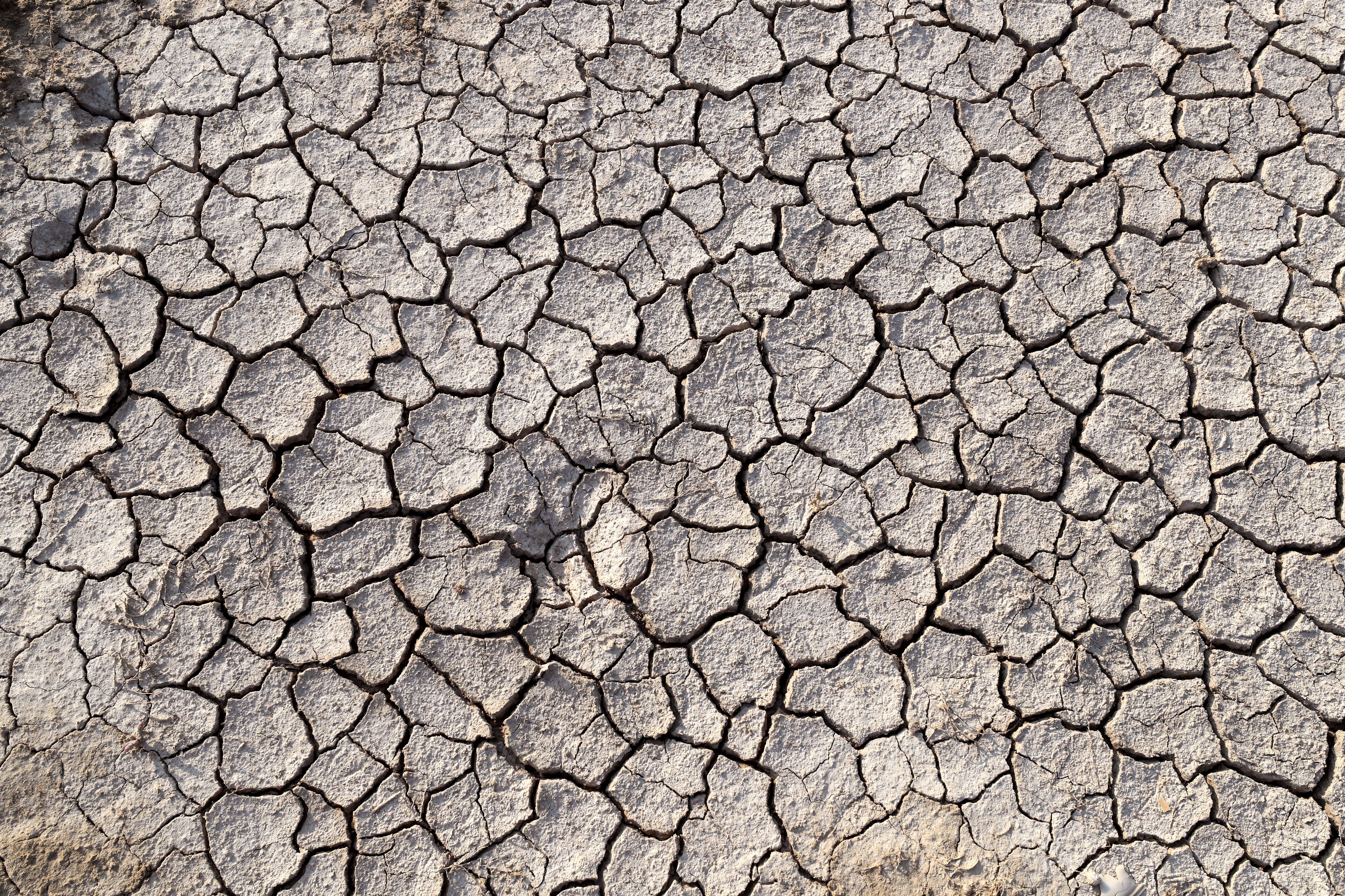 Cuando el suelo pierde sus nutrientes queda desierto y es difícil rehabilitarlo (EFE/EPA/MOHAMED MESSARA)