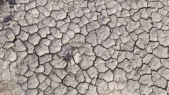 Túnez afronta una "histórica" disminución