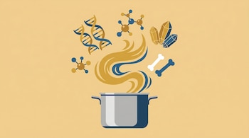 Ilustración de una olla plateada con vapor dorado y azul que se convierte en íconos de cadenas de ADN, moléculas, cristales minerales y huesos sobre fondo ocre.