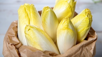 Las endibias, la verdura “olvidada”